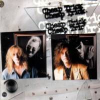 Cheap Trick : Busted